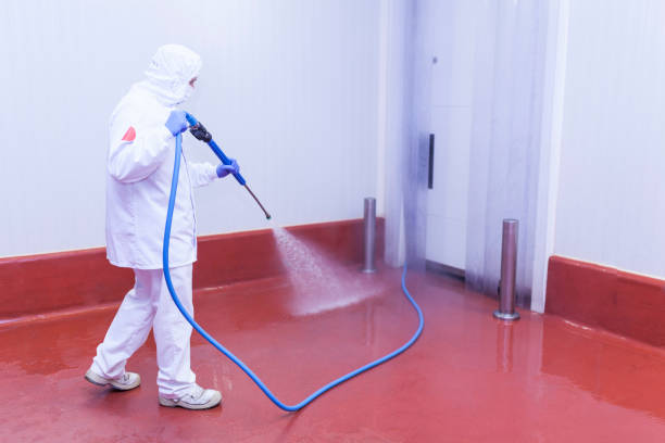 Best Machinery and Equipment Cleaning  in St Charles, MI